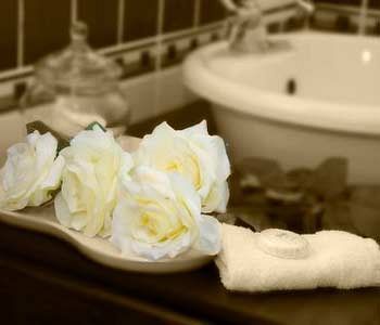 A White Rose Guest House Блумфонтейн Экстерьер фото